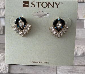 Earrings Stone Turquoise Navy Silver NWT